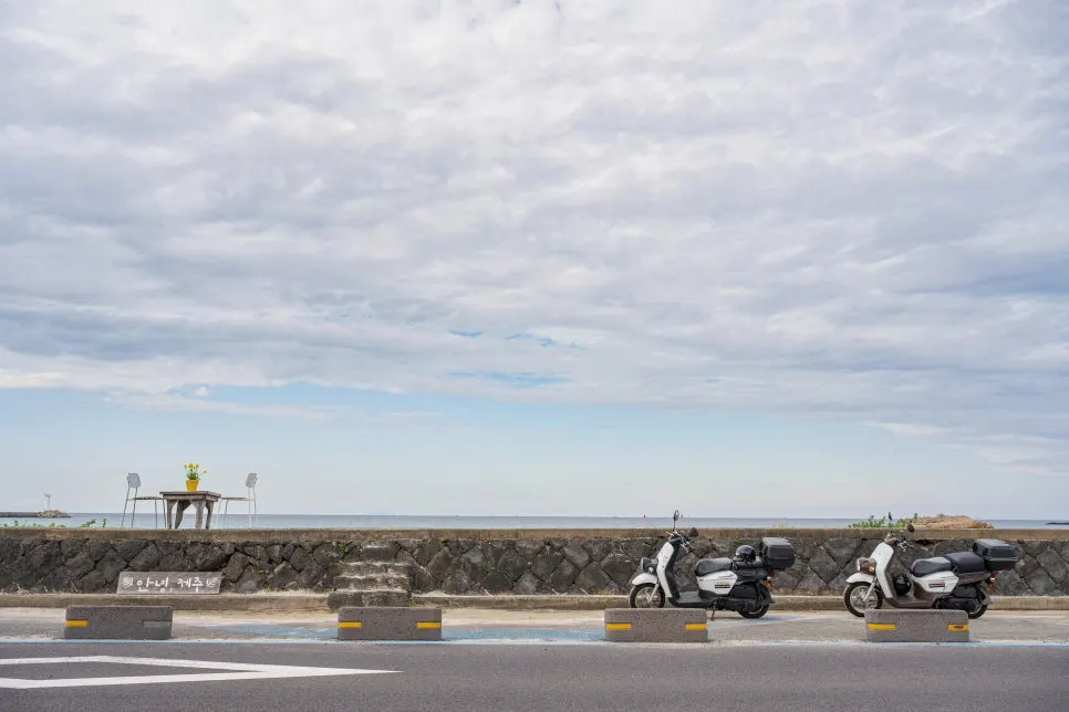 %EC%84%B8%ED%99%94%EC%97%90%EC%84%9C_%EB%A7%8C%EB%82%9C_%EC%8A%A4%EC%BF%A0%ED%84%B0_(1).jpg?type=w966