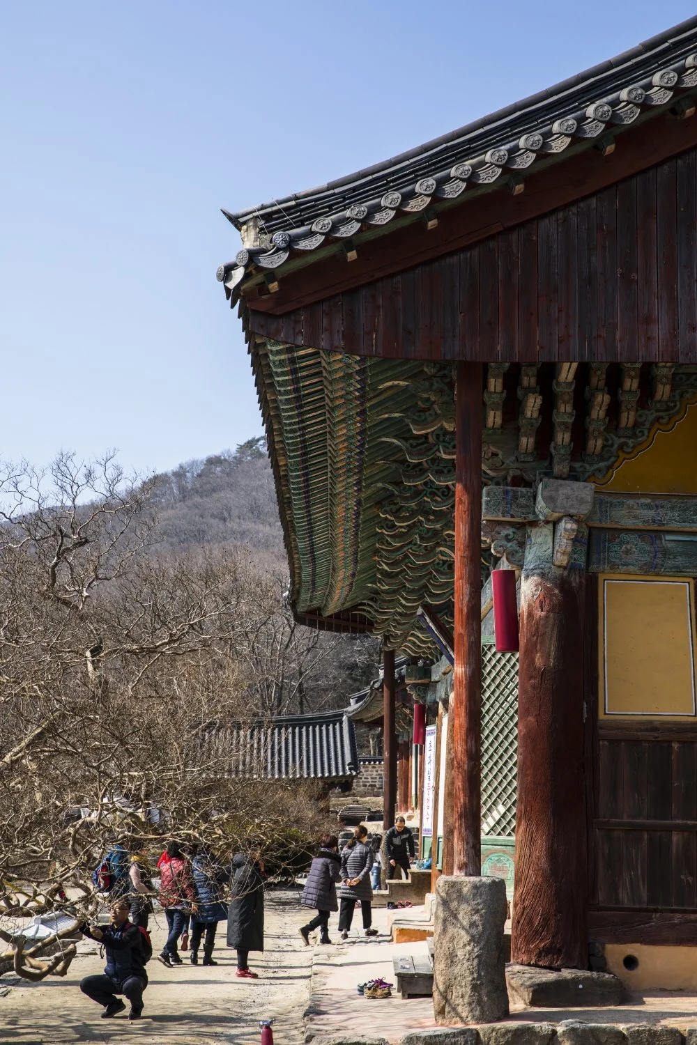 %ED%81%AC%EA%B8%B0%EB%B3%80%ED%99%98%EC%84%A0%EC%9A%B4%EC%82%AC%2829%29.jpg?type=w1200