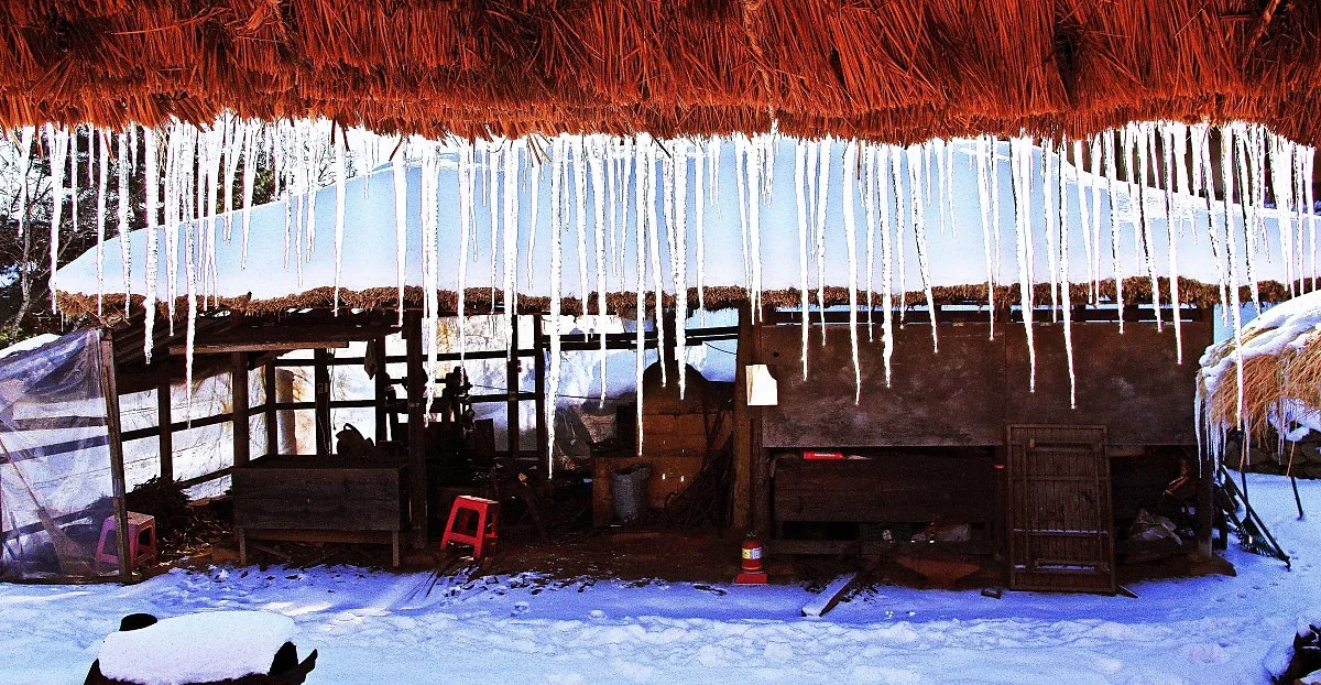 %EC%B4%88%EA%B0%80%EC%A7%80%EB%B6%95%EC%97%90_%EB%8B%AC%EB%A6%B0_%EA%B3%A0%EB%93%9C%EB%A6%84.JPG?type=w1200