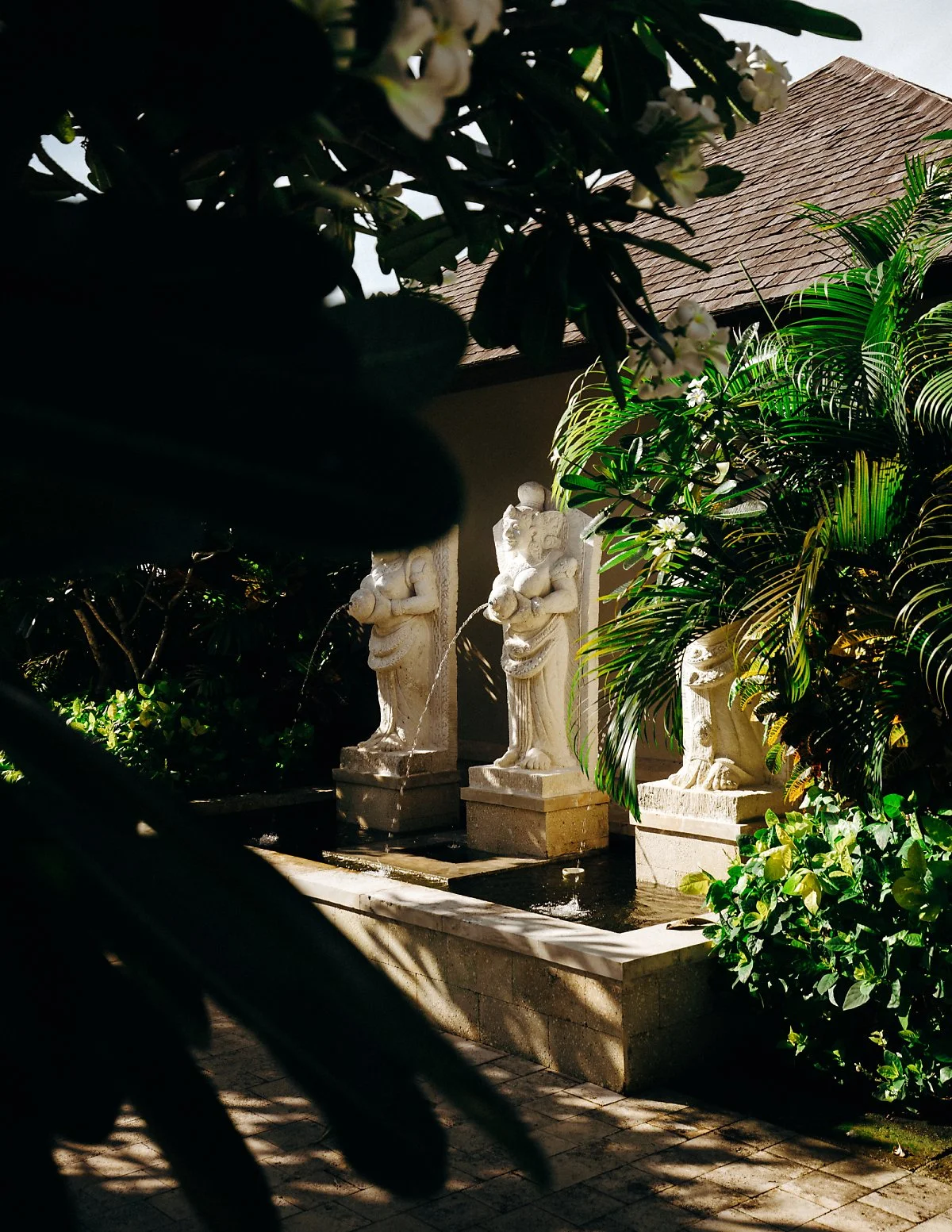 %EC%A3%BC%EB%A9%94%EC%9D%B4%EB%9D%BC_%EB%B0%9C%EB%A6%AC_-3819.jpg?type=w1200