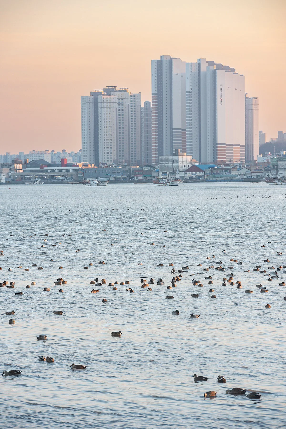 %EB%8F%99%EB%B0%B1%EB%8C%80%EA%B5%90_%285%29.jpg?type=w1200