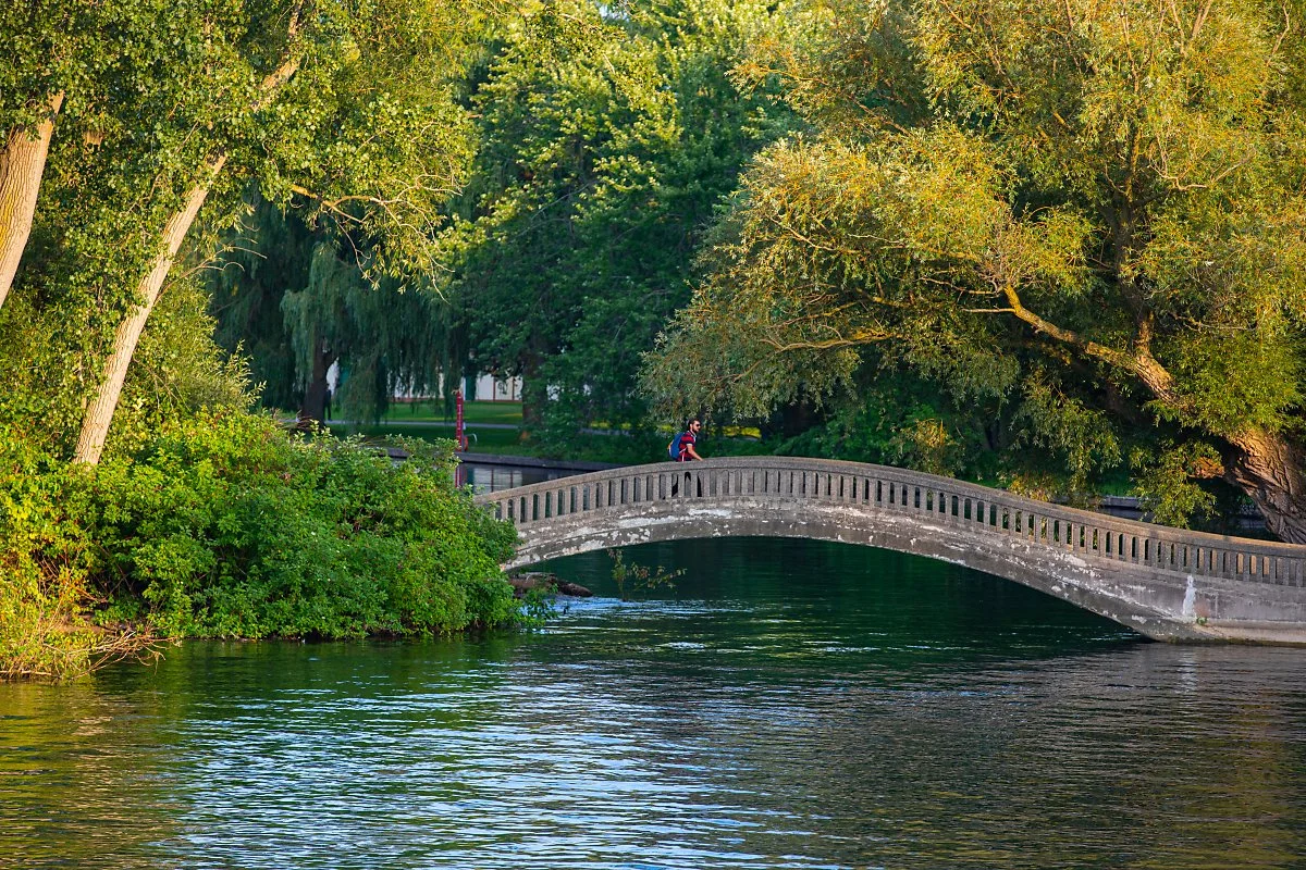 %ED%86%A0%EB%A1%A0%ED%86%A0_%ED%86%A0%EB%A1%A0%ED%86%A0_%EC%95%84%EC%9D%BC%EB%9E%9C%EB%93%9C_%ED%8C%8C%ED%81%AC.jpg?type=w1200