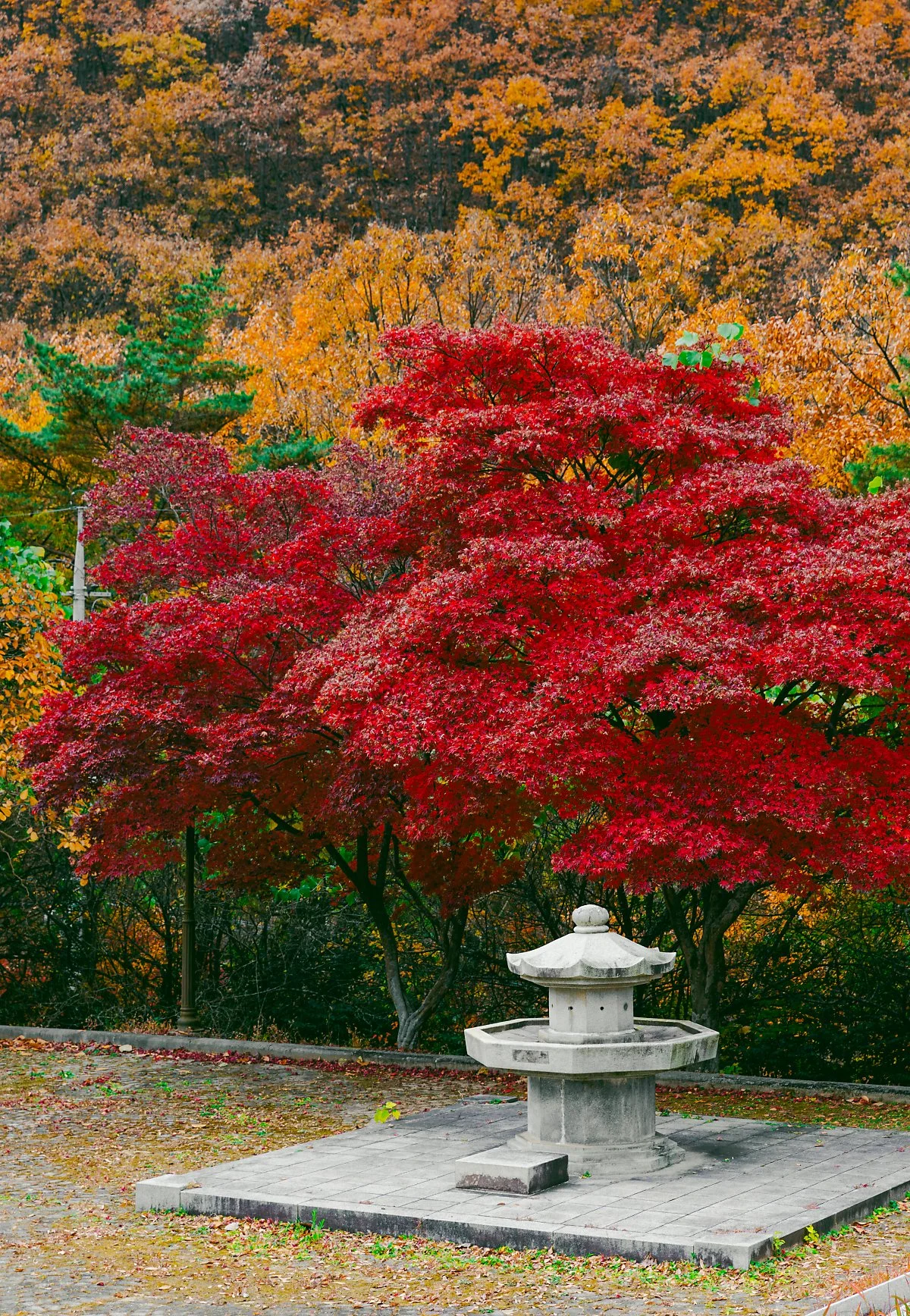 d_%EC%B6%A9%EB%AF%BC%EC%82%AC_1.jpg?type=w1200