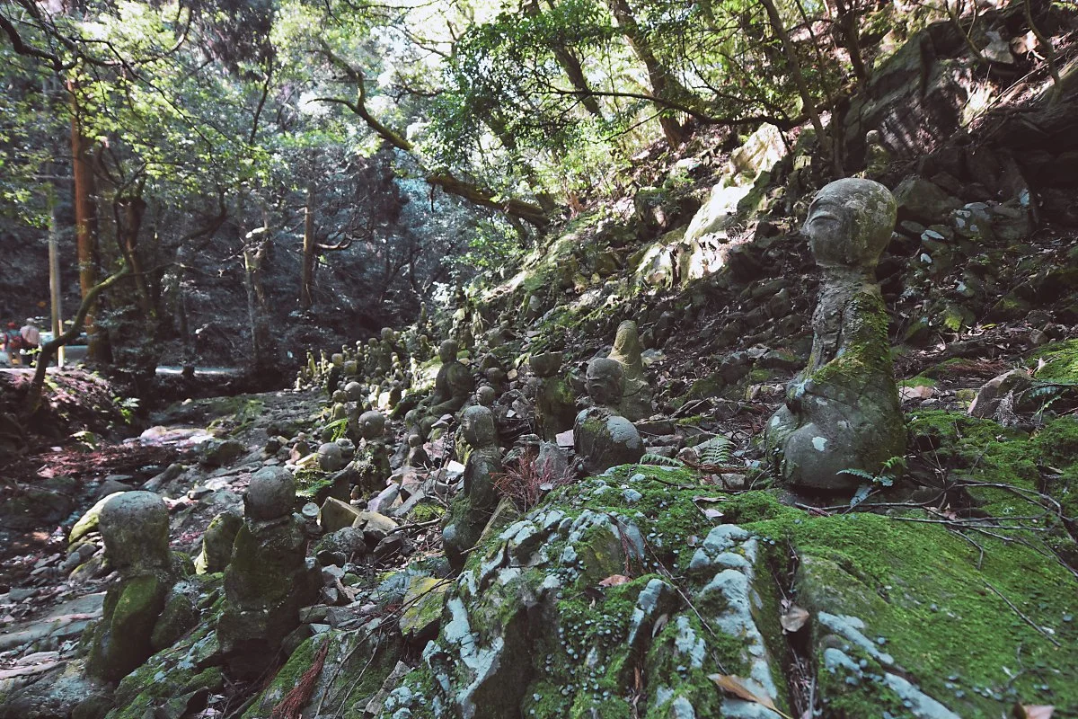 %EB%AF%B8%EC%95%BC%EB%A7%88%E3%83%BB%EA%B8%B0%EC%9A%94%EB%AF%B8%EC%A6%88%EC%95%BC%EB%A7%88_%EC%BD%94%EC%8A%A4.jpg?type=w1200