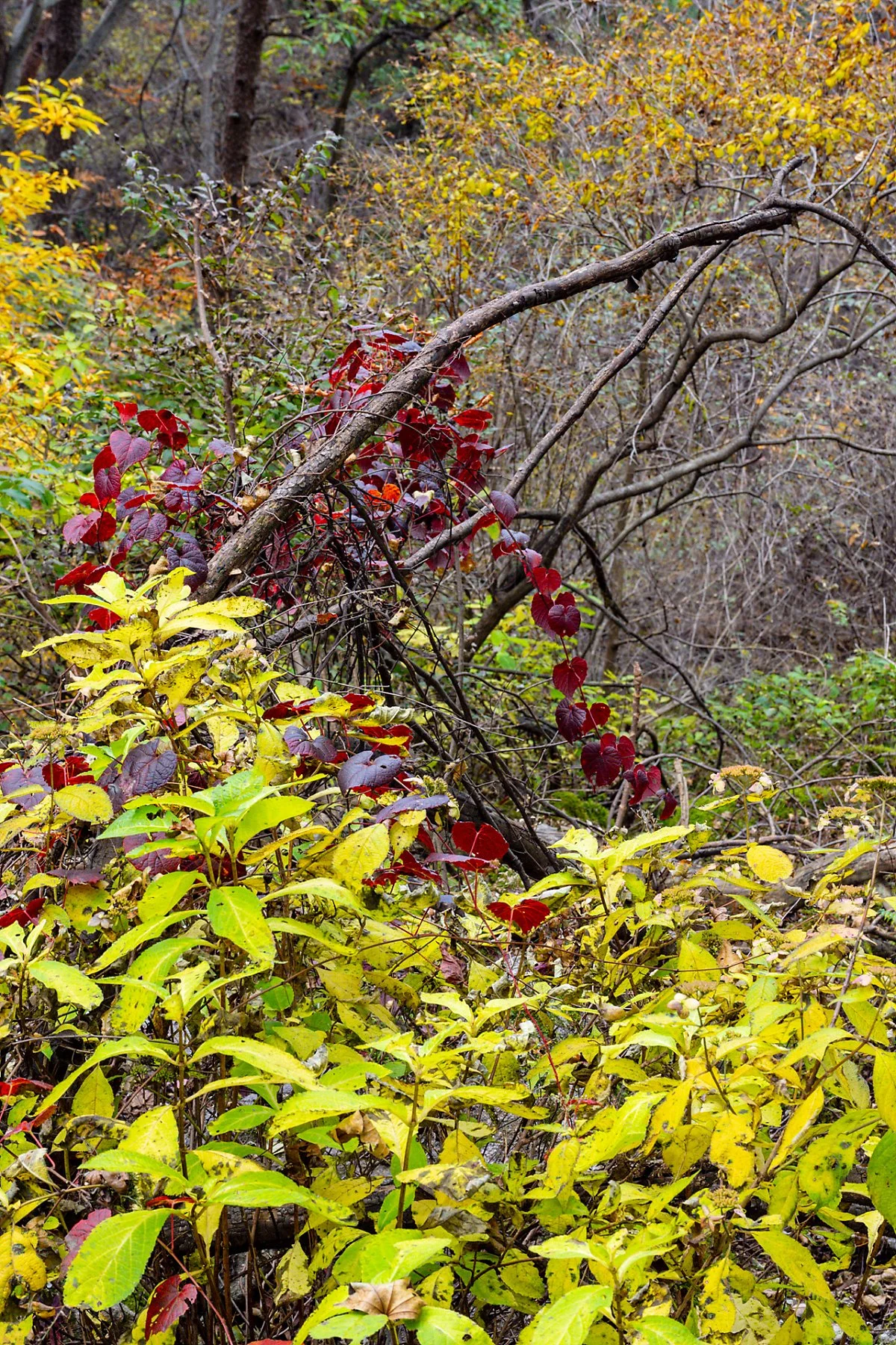 %EA%B5%90%EB%A3%A1%EC%82%B0%EB%91%98%EB%A0%88%EA%B8%B8_%283%29.jpg?type=w1200