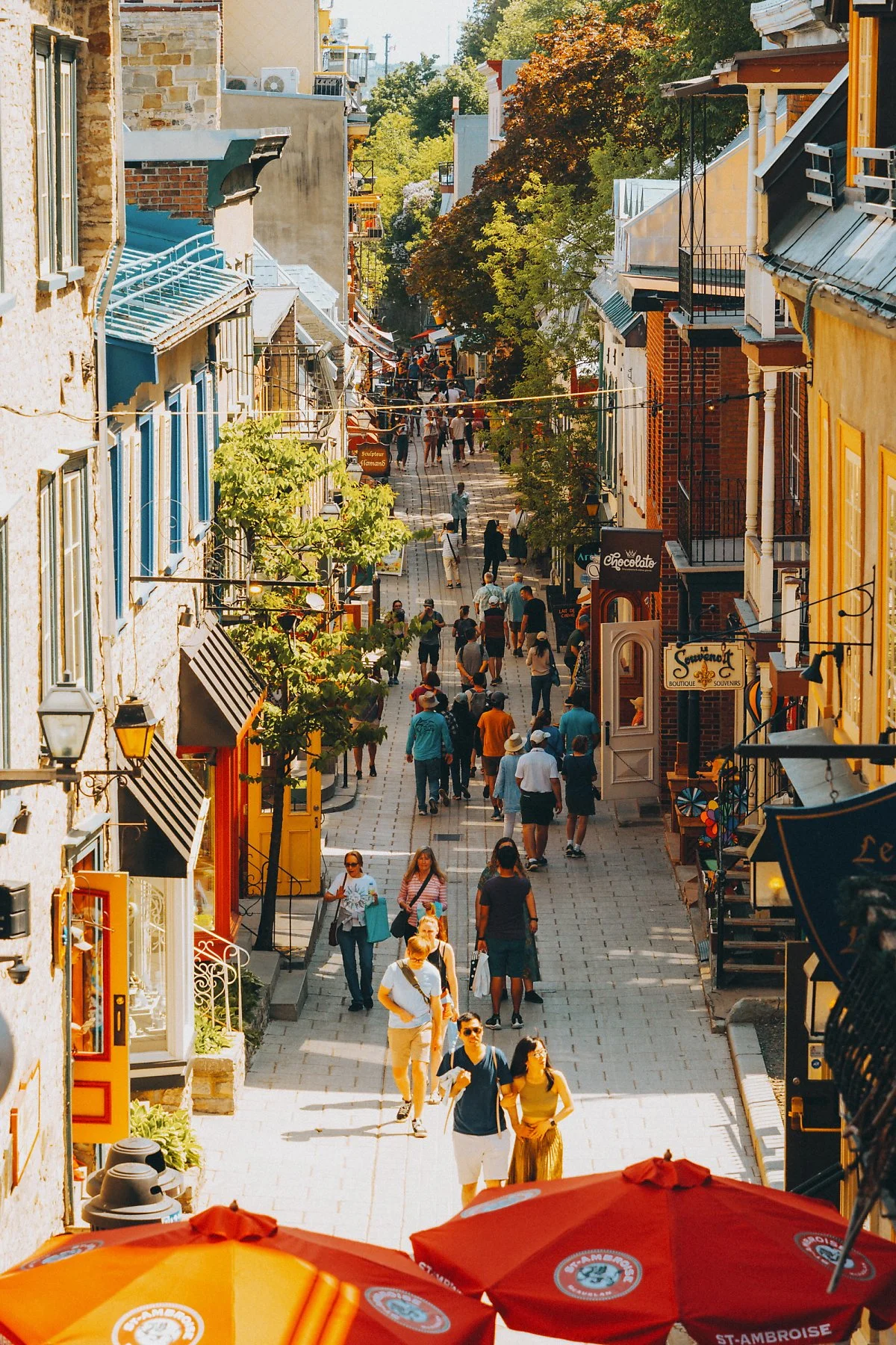 %EC%98%AC%EB%93%9C_%ED%80%98%EB%B2%A1_%285%29.jpg?type=w1200