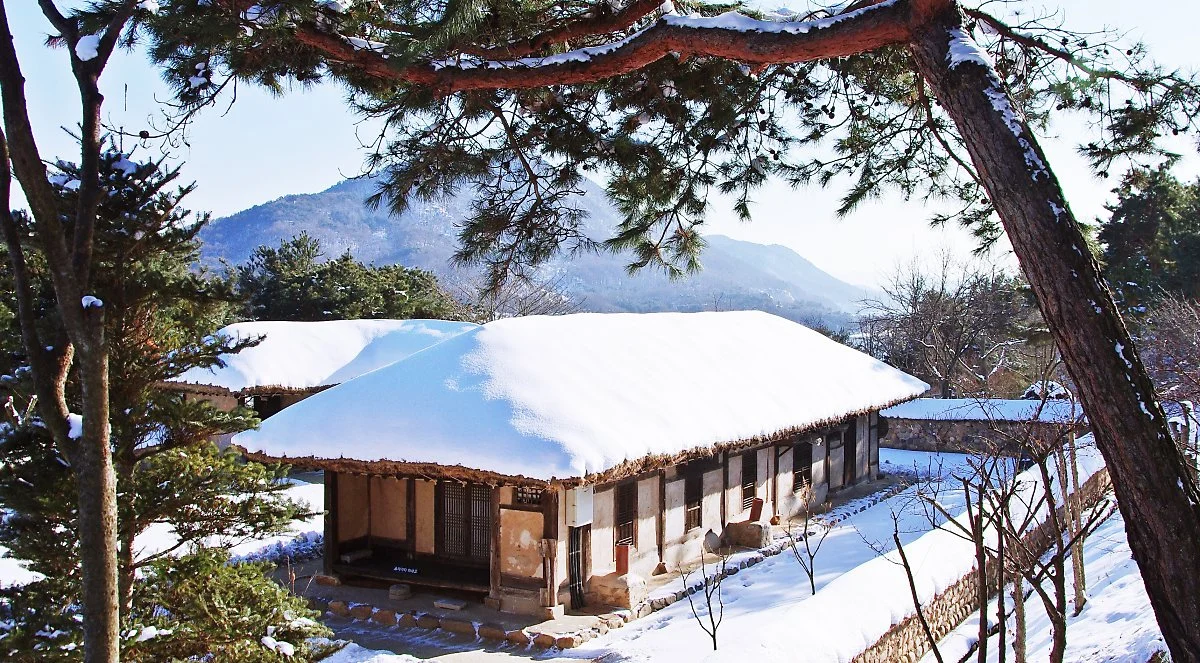 %EB%8A%98_%ED%91%B8%EB%A5%B8_%EB%82%98%EB%AC%B4_%EC%95%84%EB%9E%98_%EB%88%88_%EC%8C%93%EC%9D%B8_%EC%B4%88%EA%B0%80%EC%A7%80%EB%B6%95%EC%9D%84_%EB%B3%B4%EB%A9%B4_%EA%B3%A0%ED%96%A5%EC%9D%98_%EC%98%9B_%EC%9D%BC%EC%9D%B4_%EA%B7%B8%EB%A6%AC%EC%9B%8C.JPG?type=w1200