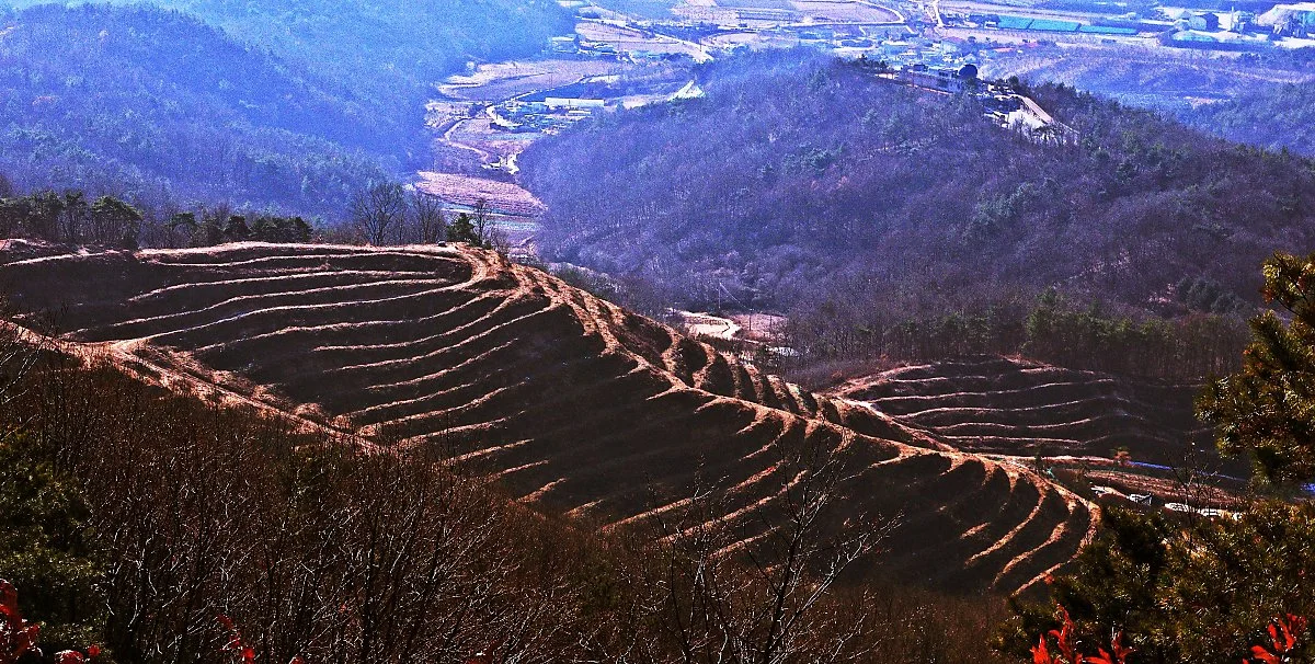 %EC%9E%A5%EB%AF%B8%EC%82%B0_%EC%A0%95%EC%83%81%2C_%EC%9E%A5%EB%AF%B8%EC%82%B0%EC%84%B1_%EC%84%9C%EB%B6%81%EC%AA%BD_%EC%84%B1%EB%B2%BD_%EC%9C%84%EC%97%90%EC%84%9C_%EB%B3%B8_%ED%92%8D%EA%B2%BD._%EC%82%AC%EC%A7%84_%EC%98%A4%EB%A5%B8%EC%AA%BD_%EC%9C%84.JPG?type=w1200