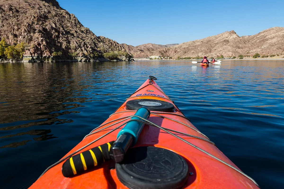 F96A2577.jpg?type=w1200