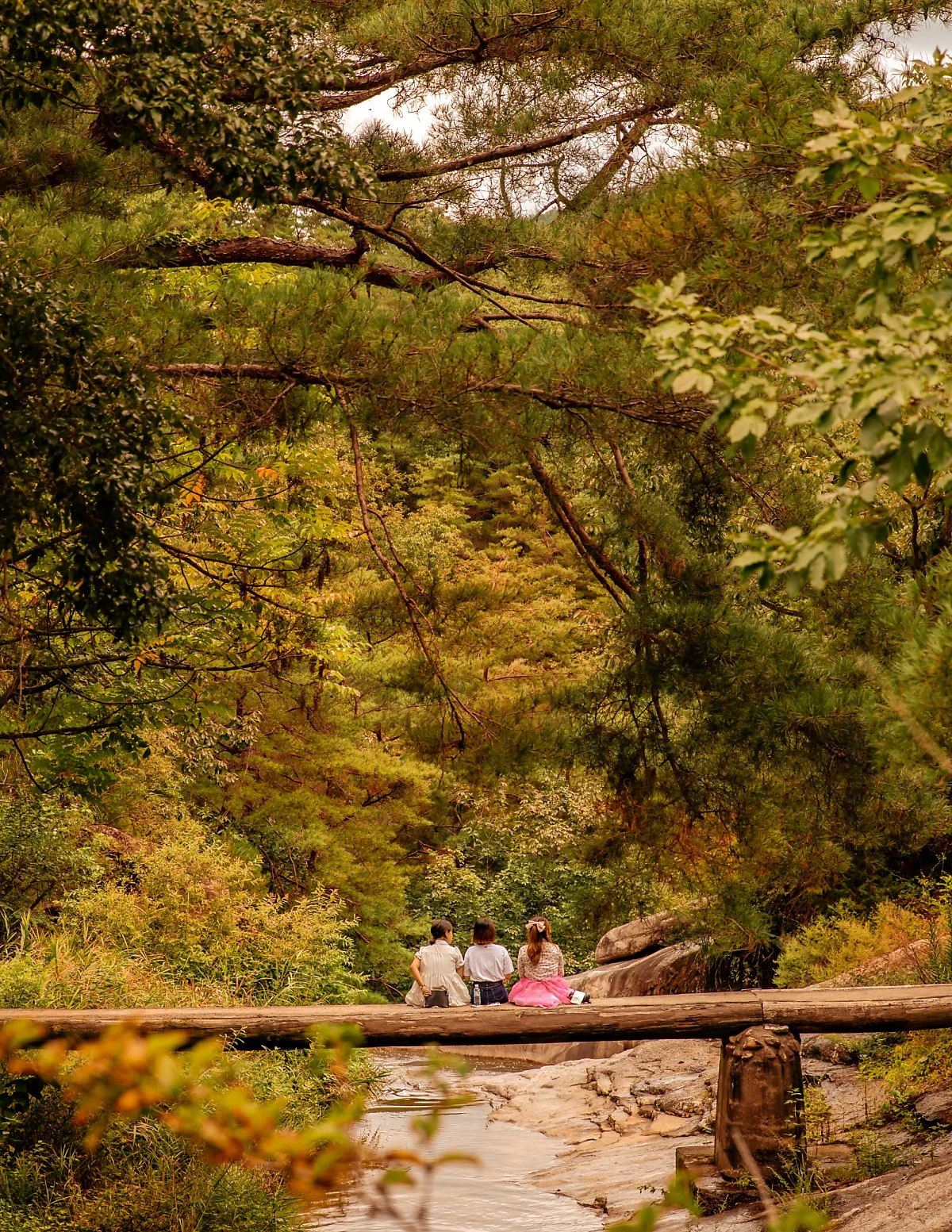 IMG_9407-2.jpg?type=w1200