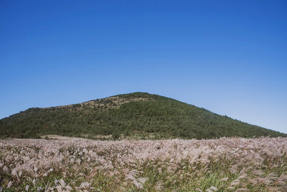 %EB%8C%80%EB%A1%9D%EC%82%B0_002.jpg?type=w1200