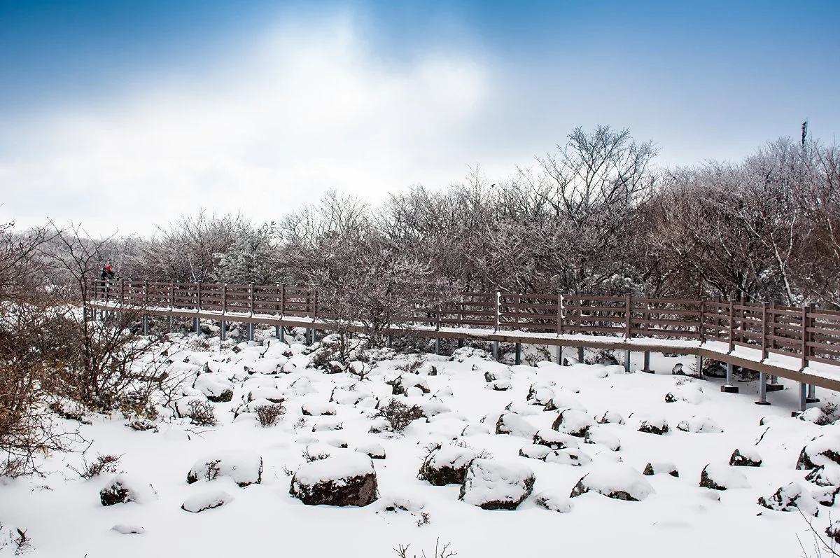 1100%EA%B3%A0%EC%A7%80%ED%9C%B4%EA%B2%8C%EC%86%8C_002.jpg?type=w1200