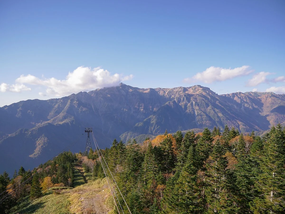 8_%EC%8B%A0%ED%98%B8%ED%83%80%EC%B9%B4_%EB%A1%9C%ED%94%84%EC%9B%A8%EC%9D%B4_%2819%29.jpg?type=w1200