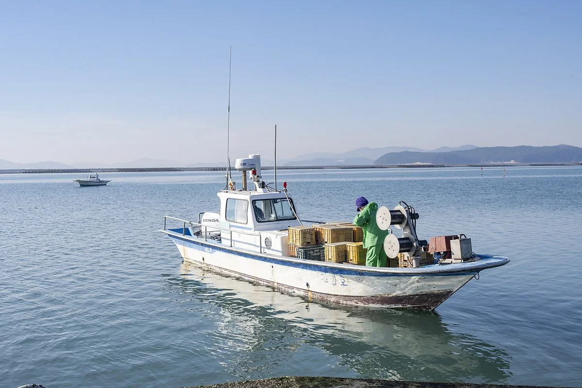 %EC%9B%85%EB%8F%84_%EA%B5%B4%EC%96%91%EC%8B%9D_%EC%96%B4%EC%84%A0.jpg?type=w1200