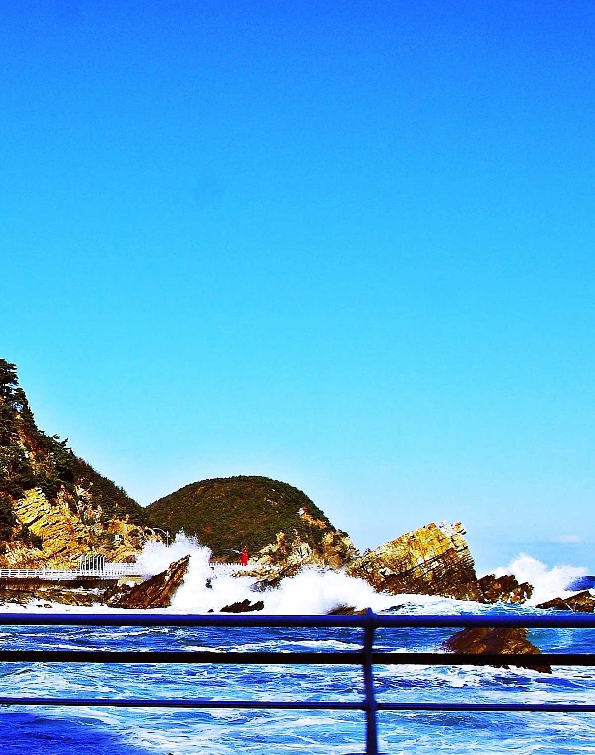 %EC%8B%AC%EA%B3%A1%ED%95%AD%EA%B8%88%EC%A7%84%ED%95%AD_%EC%82%AC%EC%9D%B4_%EB%B0%94%EB%8B%B7%EA%B0%80_%EB%8F%84%EB%A1%9C.JPG?type=w1200