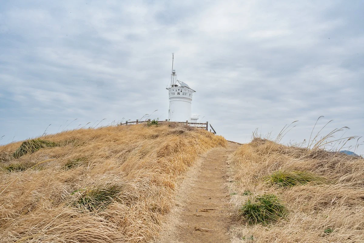 %EC%B0%A8%EA%B7%80%EB%8F%84_%EB%93%B1%EB%8C%80_%282%29.jpg?type=w1200