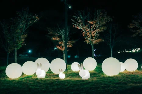 %ED%81%AC%EA%B8%B0%EB%B3%80%ED%99%98%EC%82%AC%EB%AA%85%EB%8C%80%EC%82%AC%EA%B3%B5%EC%9B%90_(9).JPG?type=w466