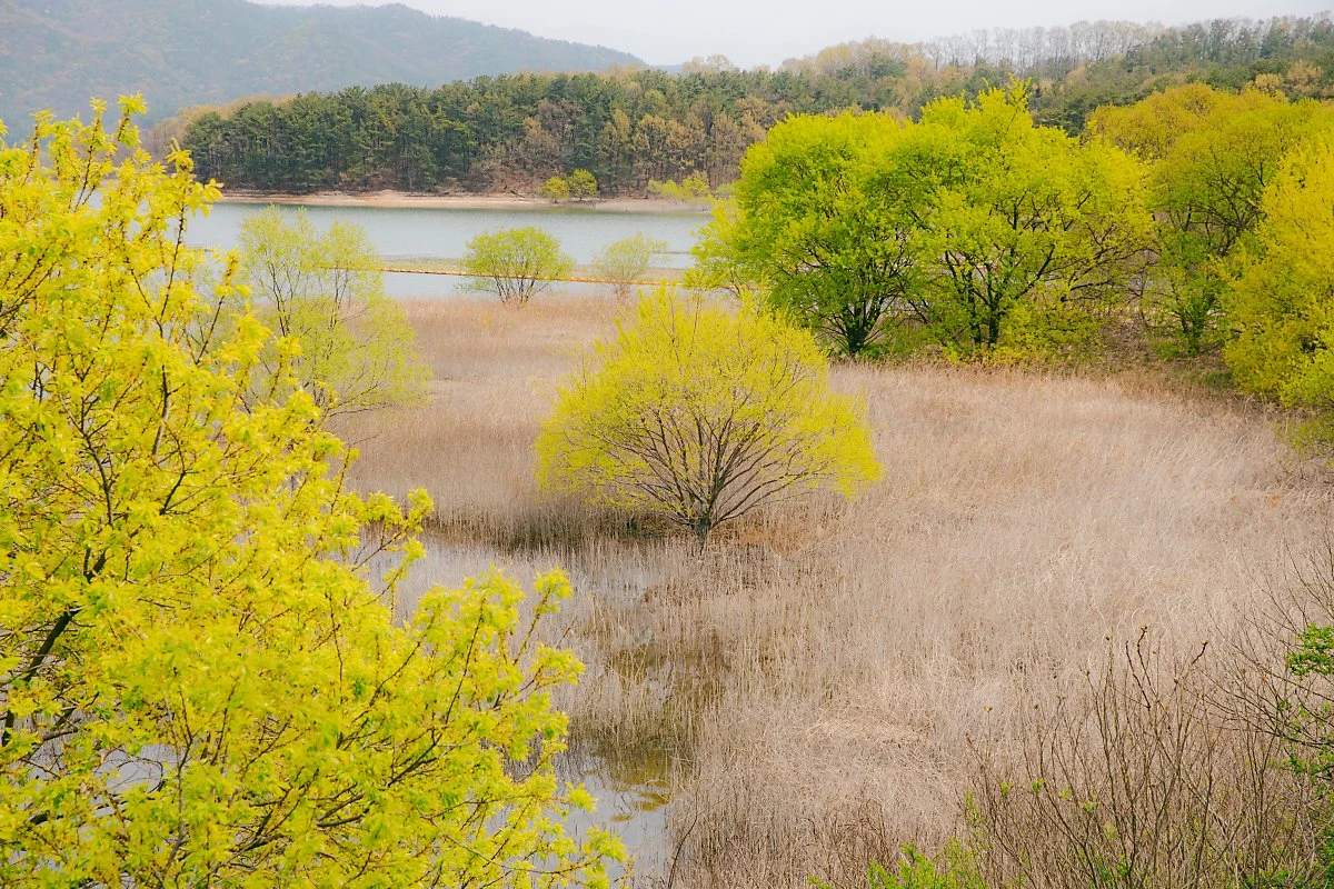 %EF%80%88d_%EB%8C%80%EC%B2%AD%ED%98%B8%EC%98%A4%EB%B0%B1%EB%A6%AC%EA%B8%B84%EA%B5%AC%EA%B0%84%28%ED%98%B8%EB%B0%98%EB%82%AD%EB%A7%8C%EA%B8%B8%29_4.jpg?type=w1200