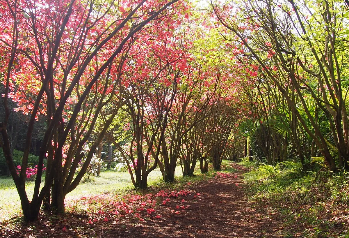 image_1415523791650609681389.jpg?type=w1200