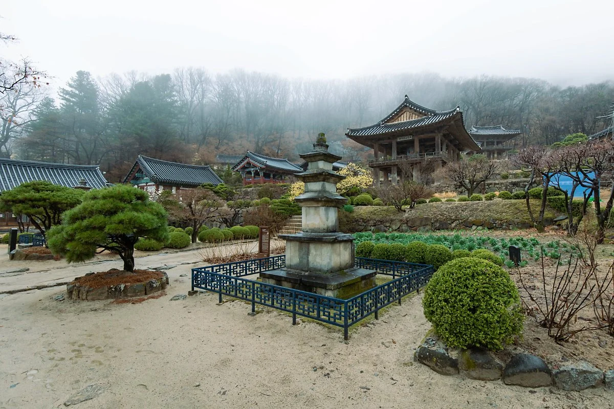 %EB%B6%80%EC%84%9D%EC%82%AC_%281%29.jpg?type=w1200