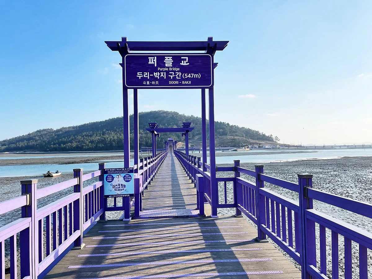 %ED%8D%BC%ED%94%8C%EC%84%AC_%2811%29.JPG?type=w1200