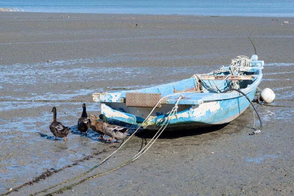 %EC%A0%95%EA%B8%88%EB%8F%84_%EA%B2%9F%EB%B2%8C.jpg?type=w1200