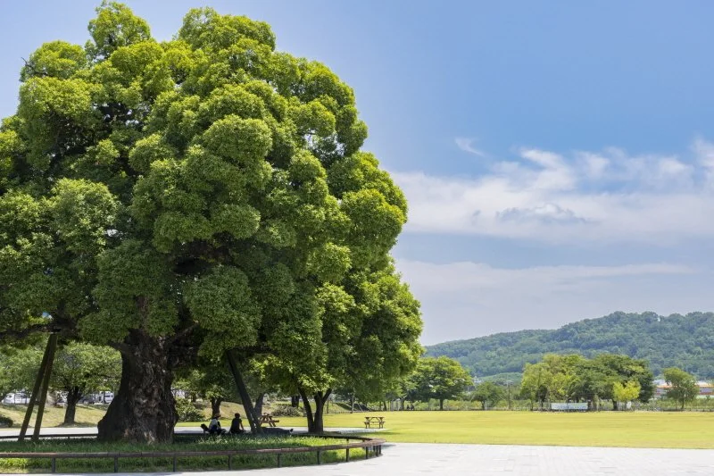 %EC%84%B1%EB%B0%96%EC%88%B2_%2839%29.jpg?type=w1200