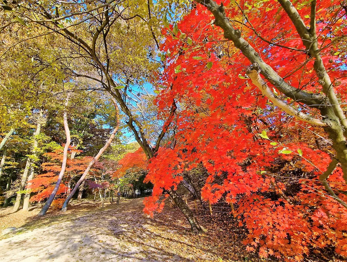 01%ED%8C%8C%EC%A3%BC%EC%82%BC%EB%A6%89_%285%29.jpg?type=w1200