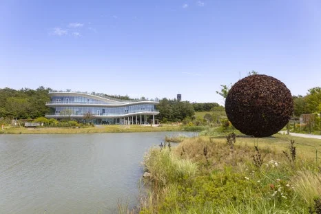 IMG_6473.jpg?type=w466