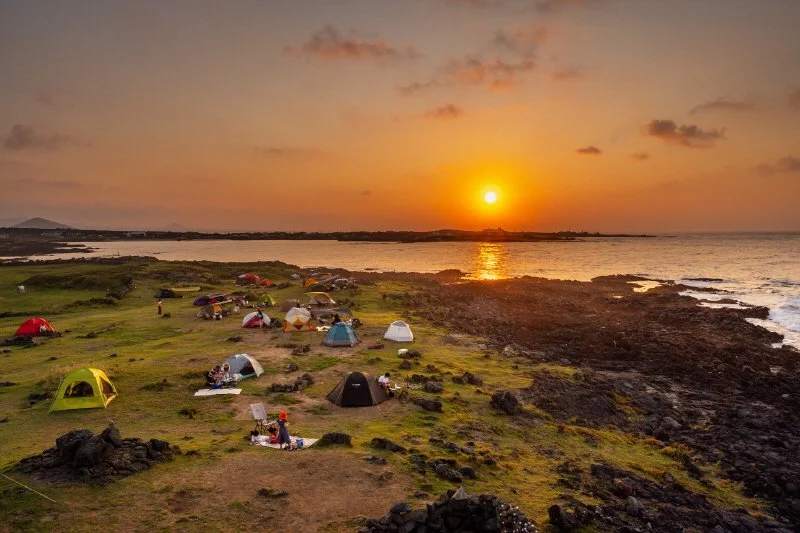 %EB%8F%84%EB%B9%84%EB%9D%BC_%ED%9B%84%EB%B3%B4_%281%29.jpg?type=w1200