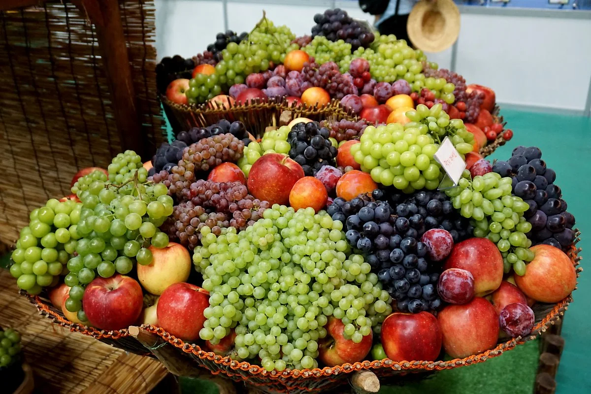 %EC%98%81%EB%8F%99%ED%8F%AC%EB%8F%84%EC%B6%95%EC%A0%9C_%284%29.JPG?type=w1200