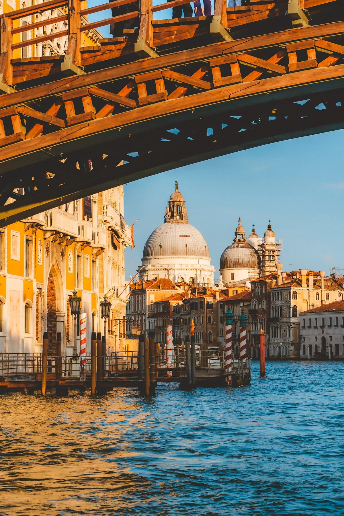 %EB%B2%A0%EB%8B%88%EC%8A%A4_%2823%29.jpg?type=w1200