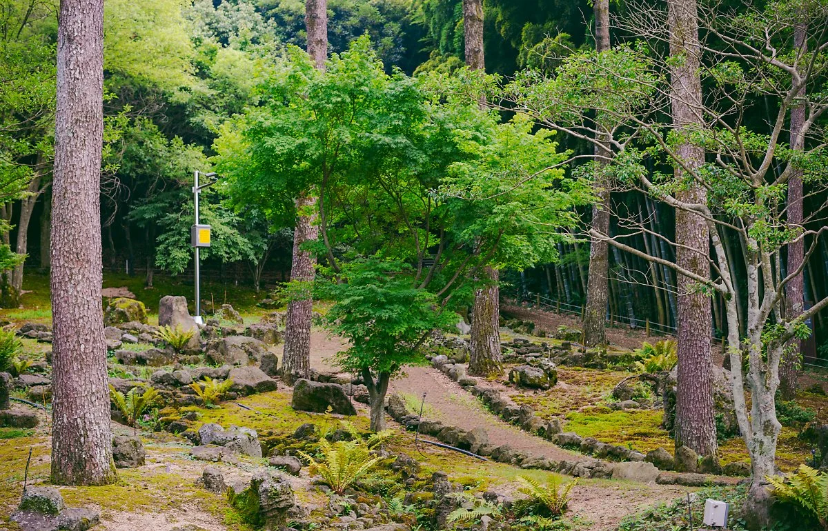 d_%ED%95%9C%EB%9D%BC%EC%88%98%EB%AA%A9%EC%9B%90_3.jpg?type=w1200