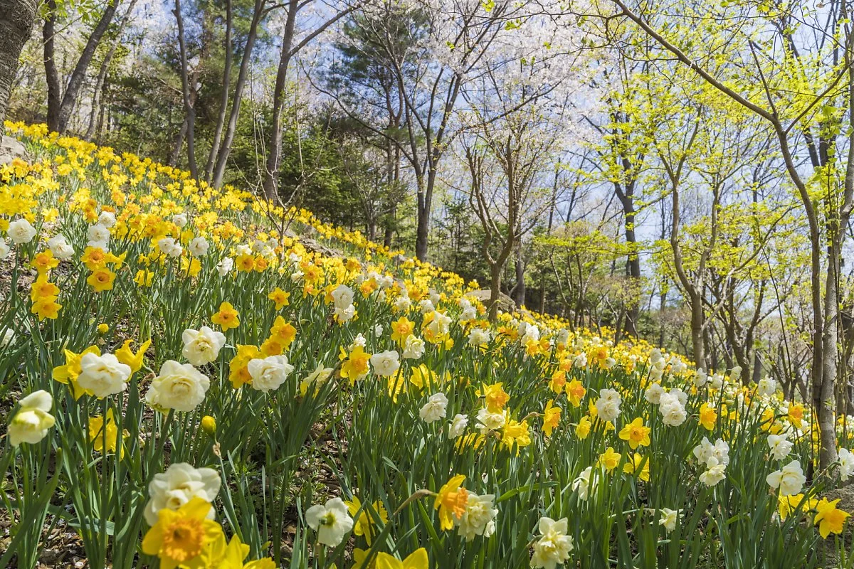 1_%ED%99%94%EB%8B%B4%EC%B1%84_%EC%88%98%EC%84%A0%ED%99%94.jpg?type=w1200