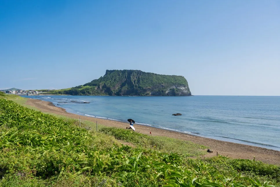 %EC%84%B1%EC%82%B0_%EC%9D%BC%EC%B6%9C%EB%B4%89_(1).jpg?type=w966