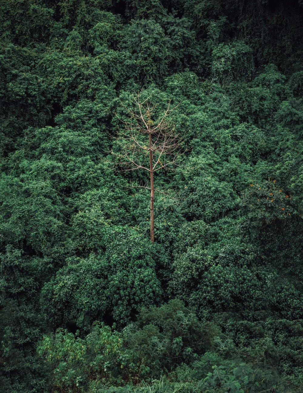 %EB%9E%98%ED%94%8C%EC%8A%A4-39.jpg?type=w1200