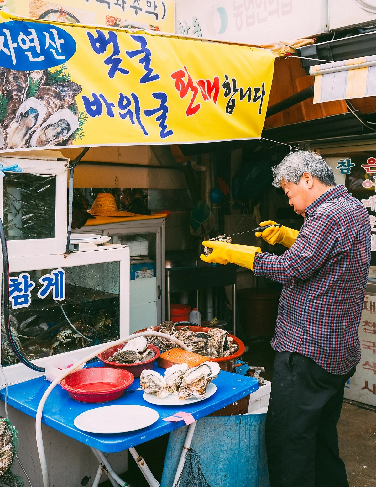 %ED%95%98%EB%8F%99_%289%29.jpg?type=w1200