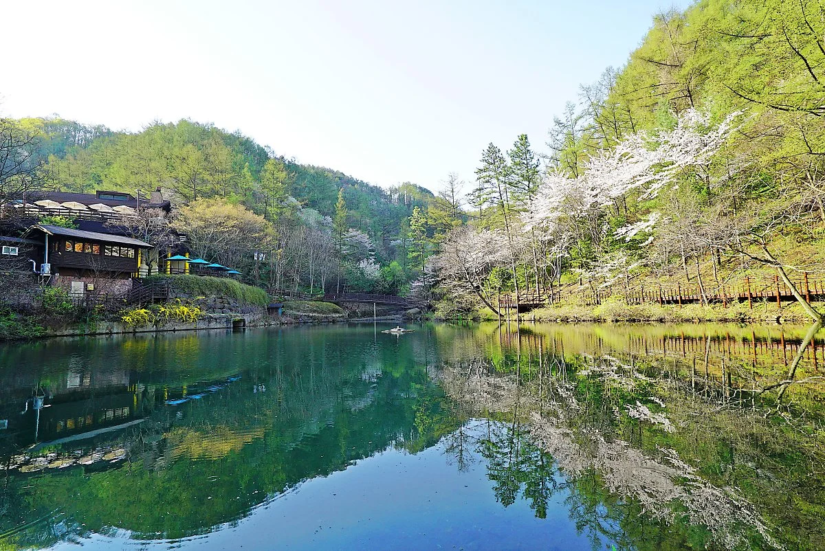 %EC%A0%9C3%EA%B2%BD_%EB%A7%8C%EC%9D%B8%EC%82%B0_%EC%9E%90%EC%97%B0%ED%9C%B4%EC%96%91%EB%A6%BC.JPG?type=w1200