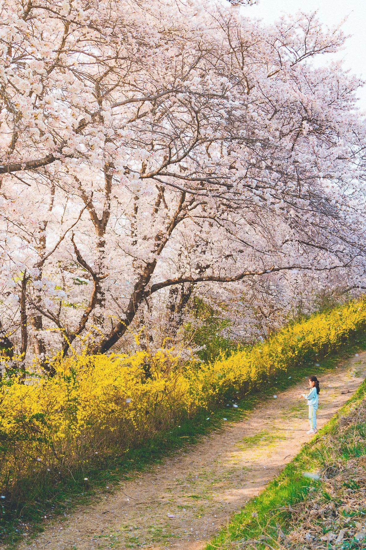 %EA%B5%AC%EC%9D%B4%EC%A0%80%EC%88%98%EC%A7%80_%284%29-%EC%88%98%EC%A0%95.jpg?type=w1200