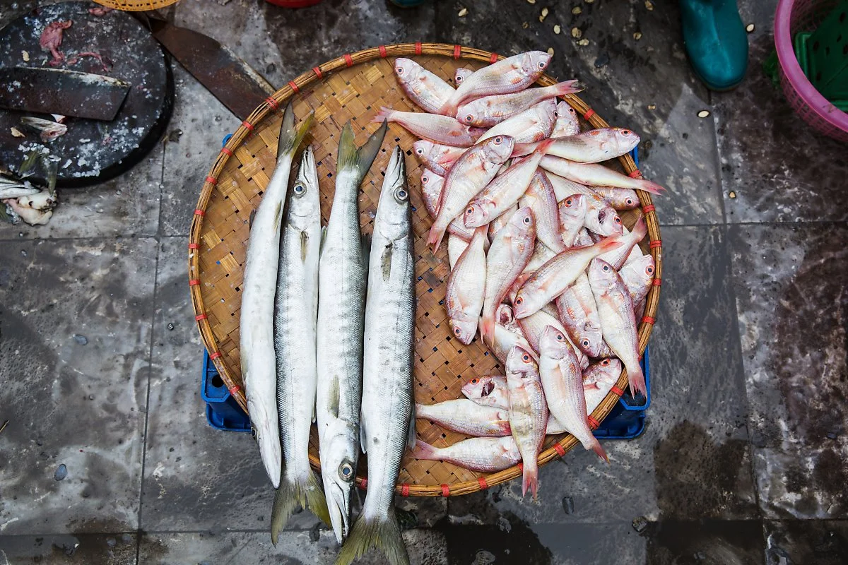 %ED%95%98%EB%A1%B1_%EC%96%B4%EC%8B%9C%EC%9E%A5_%284%29.jpg?type=w1200