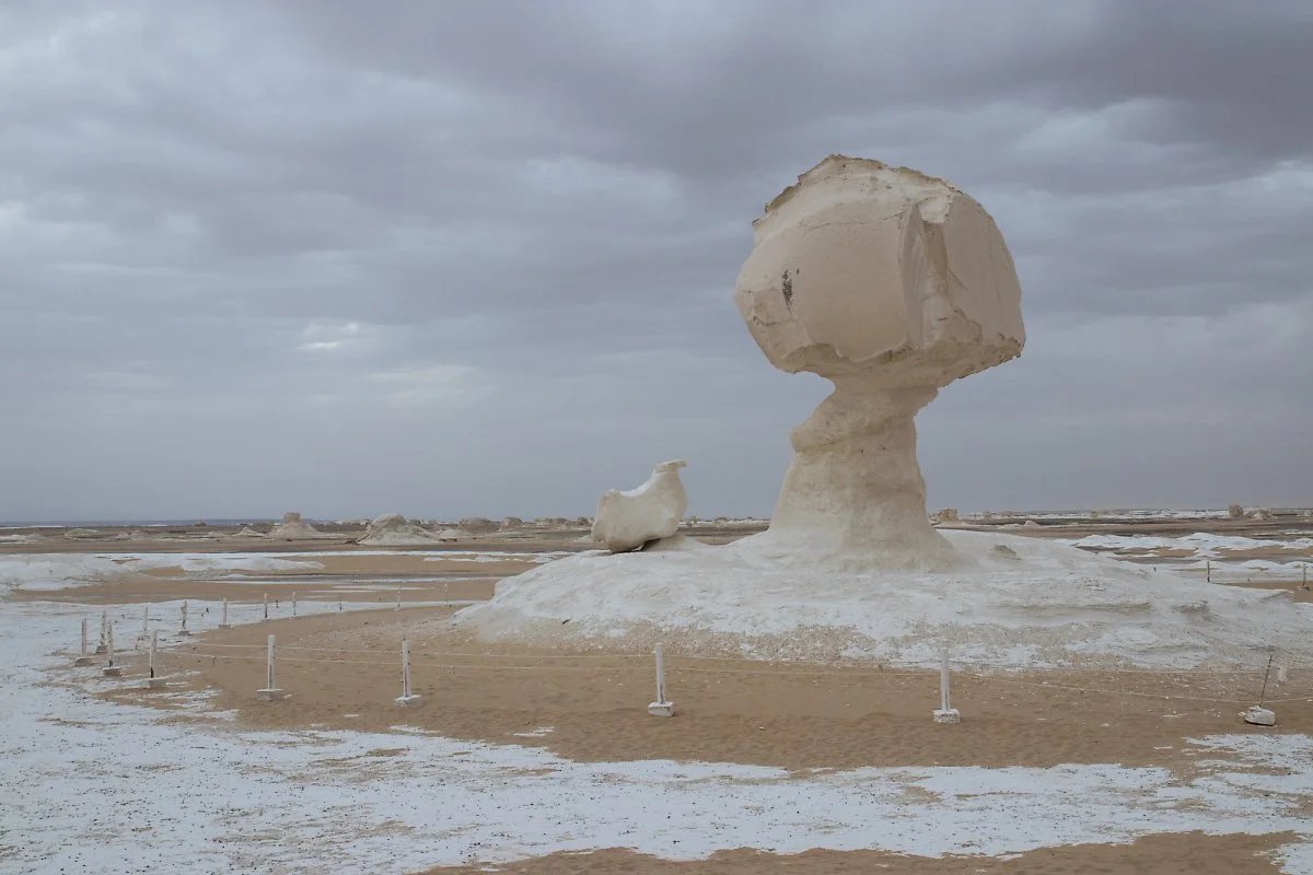 %EC%B9%98%ED%82%A8%EB%B0%94%EC%9C%841.jpg?type=w1200