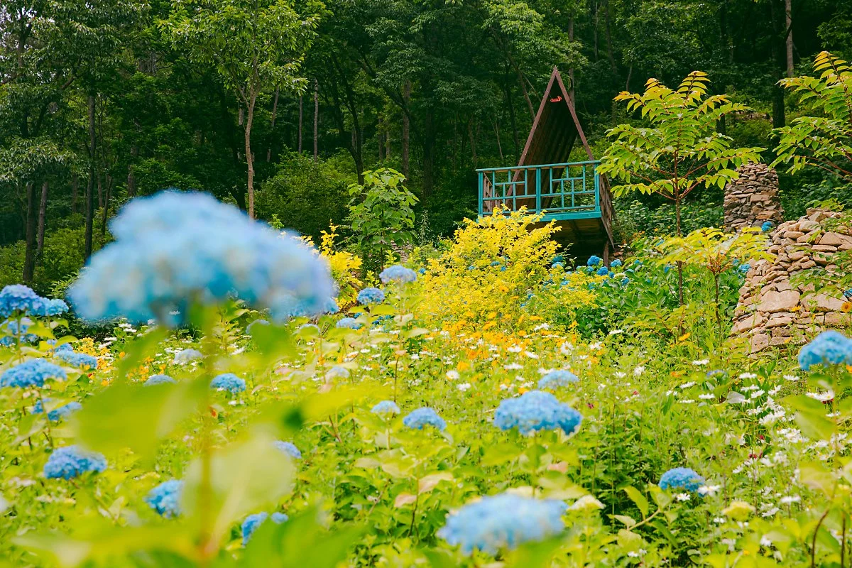 %ED%81%AC%EA%B2%8C_%EC%8D%A8%EC%A3%BC%EC%84%B8%EC%9A%94._4est%EC%88%98%EB%AA%A9%EC%9B%90%281%29.jpg?type=w1200