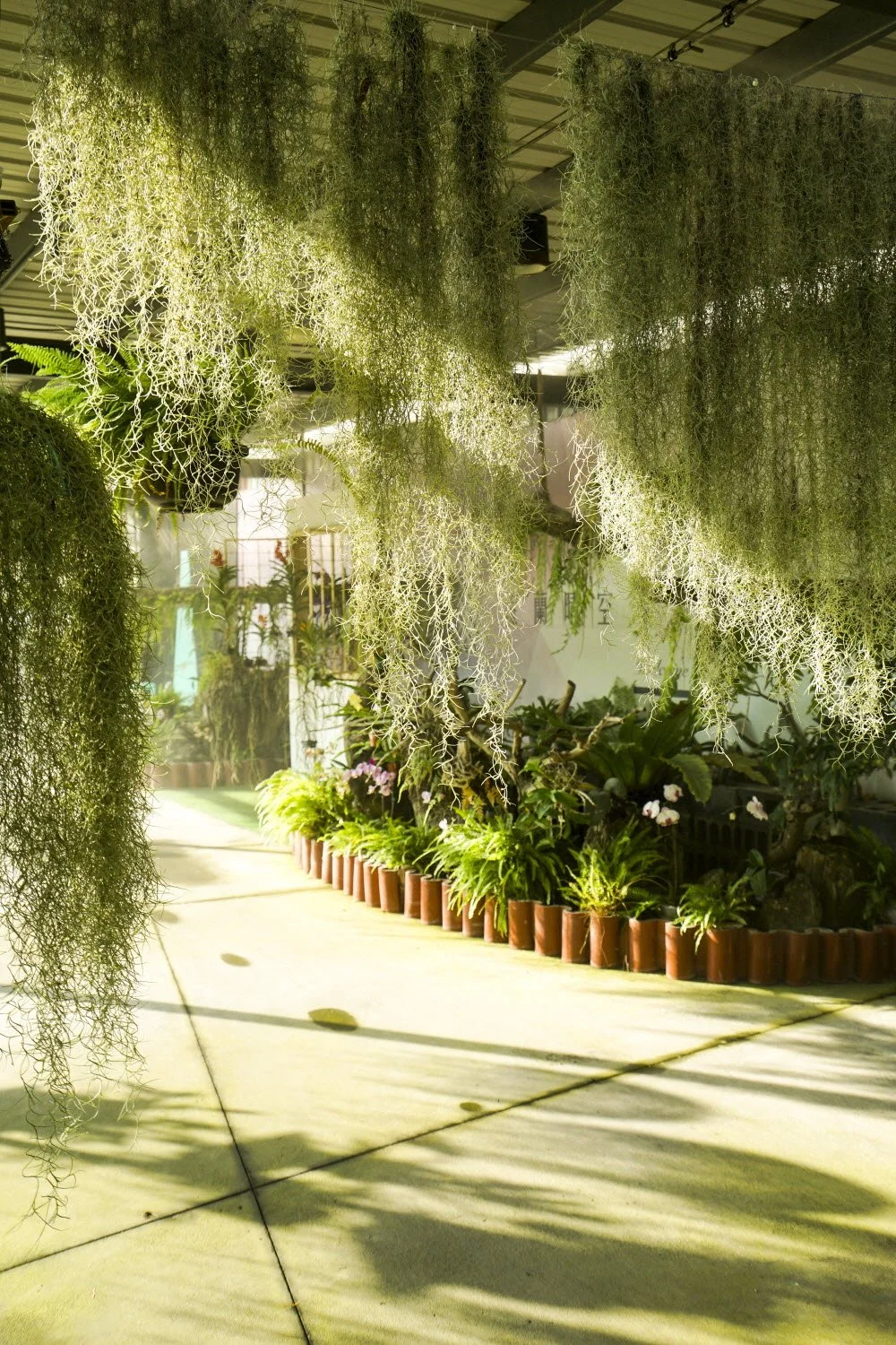 %ED%83%80%EC%9D%B4%EB%82%9C_%EB%82%9C%EB%8F%84%EA%B4%80%EA%B4%91%EA%B3%B5%EC%9E%A5%283%29.jpg?type=w1200