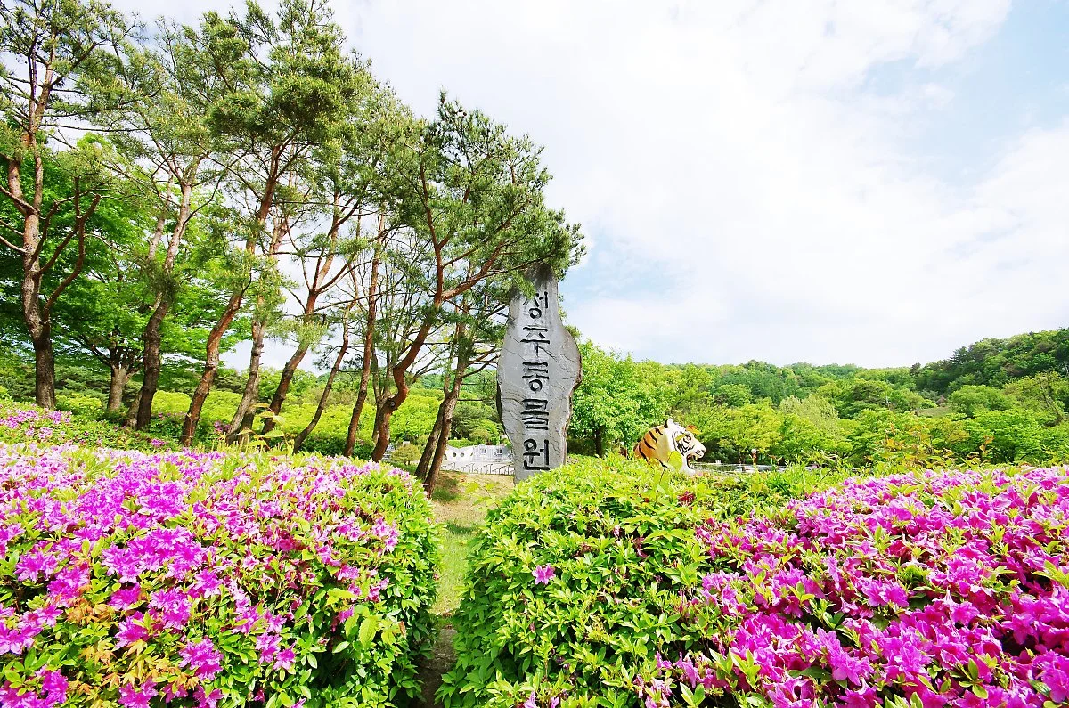 %EC%B2%AD%EC%A3%BC%EB%8F%99%EB%AC%BC%EC%9B%90.JPG?type=w1200