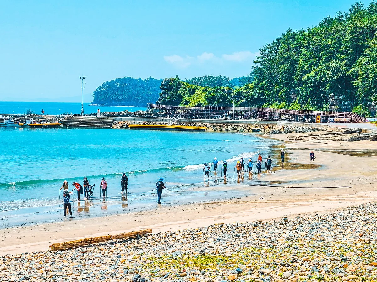 5p_2%EB%B2%88_%28c_%EA%B3%A0%EC%84%B1%EA%B5%B0%EC%B2%AD%29.jpg?type=w1200