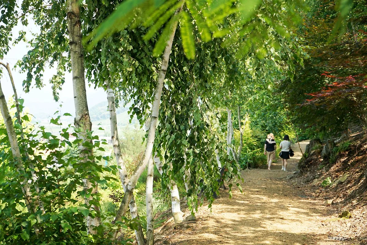 %ED%8A%B8%EB%A6%AC%ED%95%98%EC%9A%B0%EC%8A%A4%EA%B0%80%EB%93%A0_%EA%B4%B4%EC%82%B0_202306_%EC%9B%B0%EC%B4%8C_%282%29.JPG?type=w1200