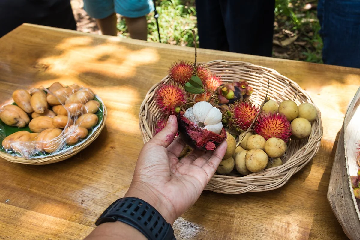 IMG_2762.jpg?type=w1200