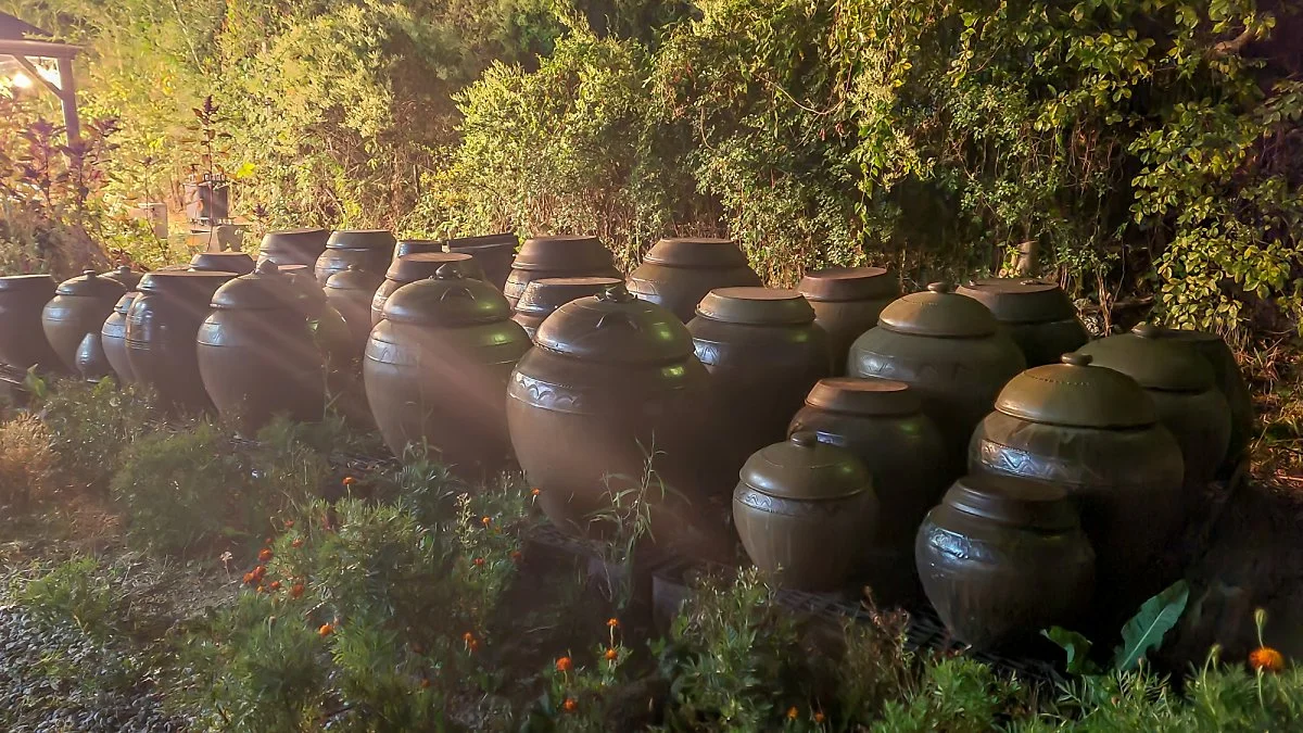 %EB%B4%84%EC%B0%A8%EB%B0%982.jpg?type=w1200