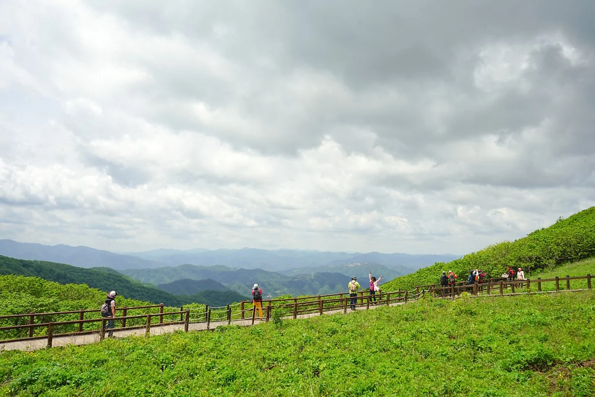 %EA%B3%B0%EB%B0%B0%EB%A0%B9_%EC%A0%95%EC%83%81_%284%29.JPG?type=w1200