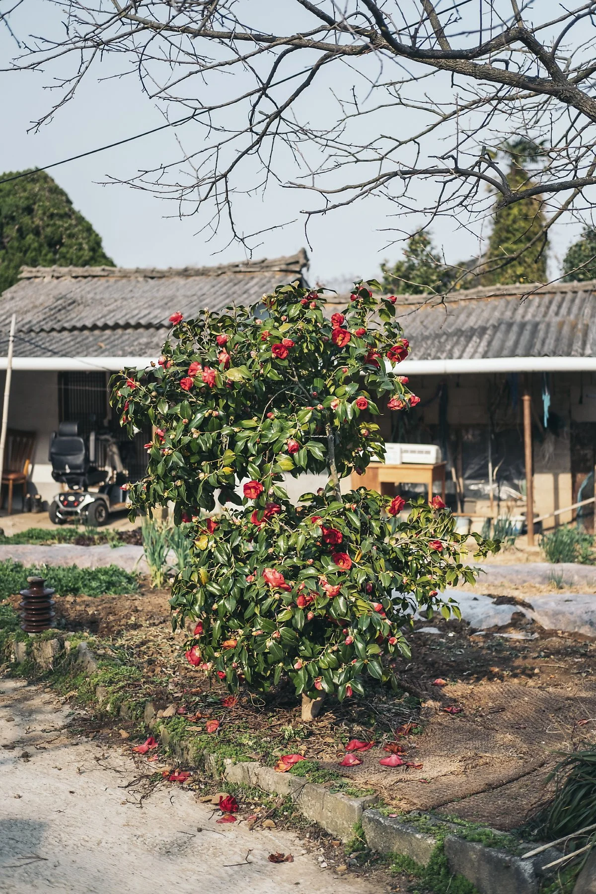 %EA%B0%95%EC%A7%84_%EC%9D%B4%EB%AF%B8%EC%A7%80_4.jpg?type=w1200